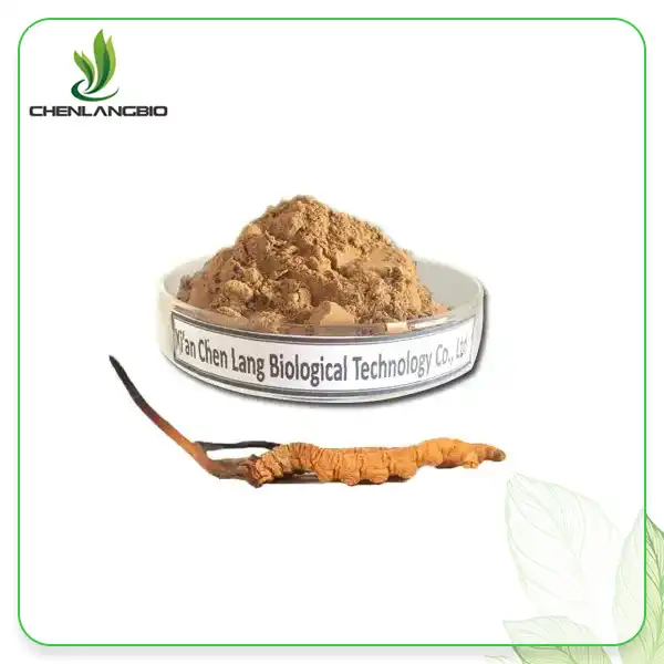 Cordycepin Powder Cordycepin Powder